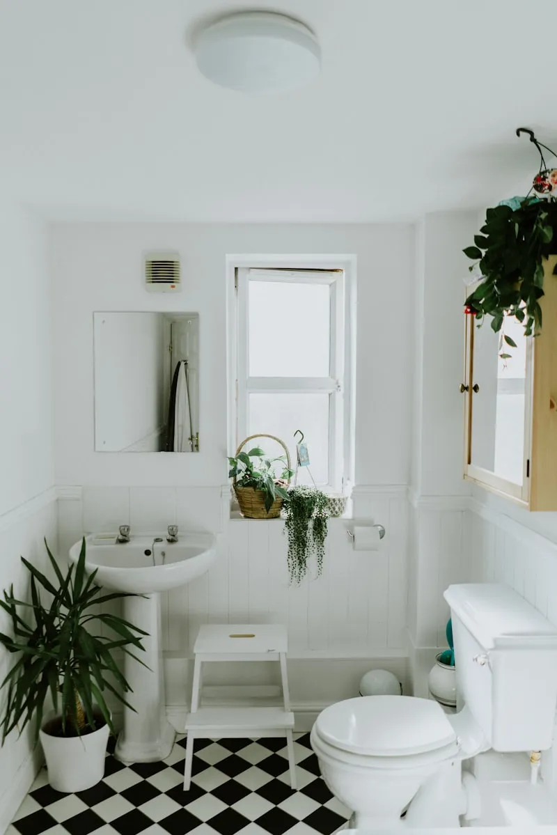 Freshly cleaned modern bathroom
